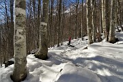 30 Nella splendida faggeta pestando neve